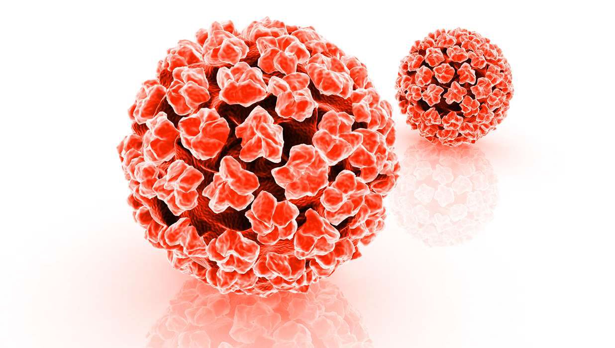 5 điều phụ nữ phải biết về virus HPV 1