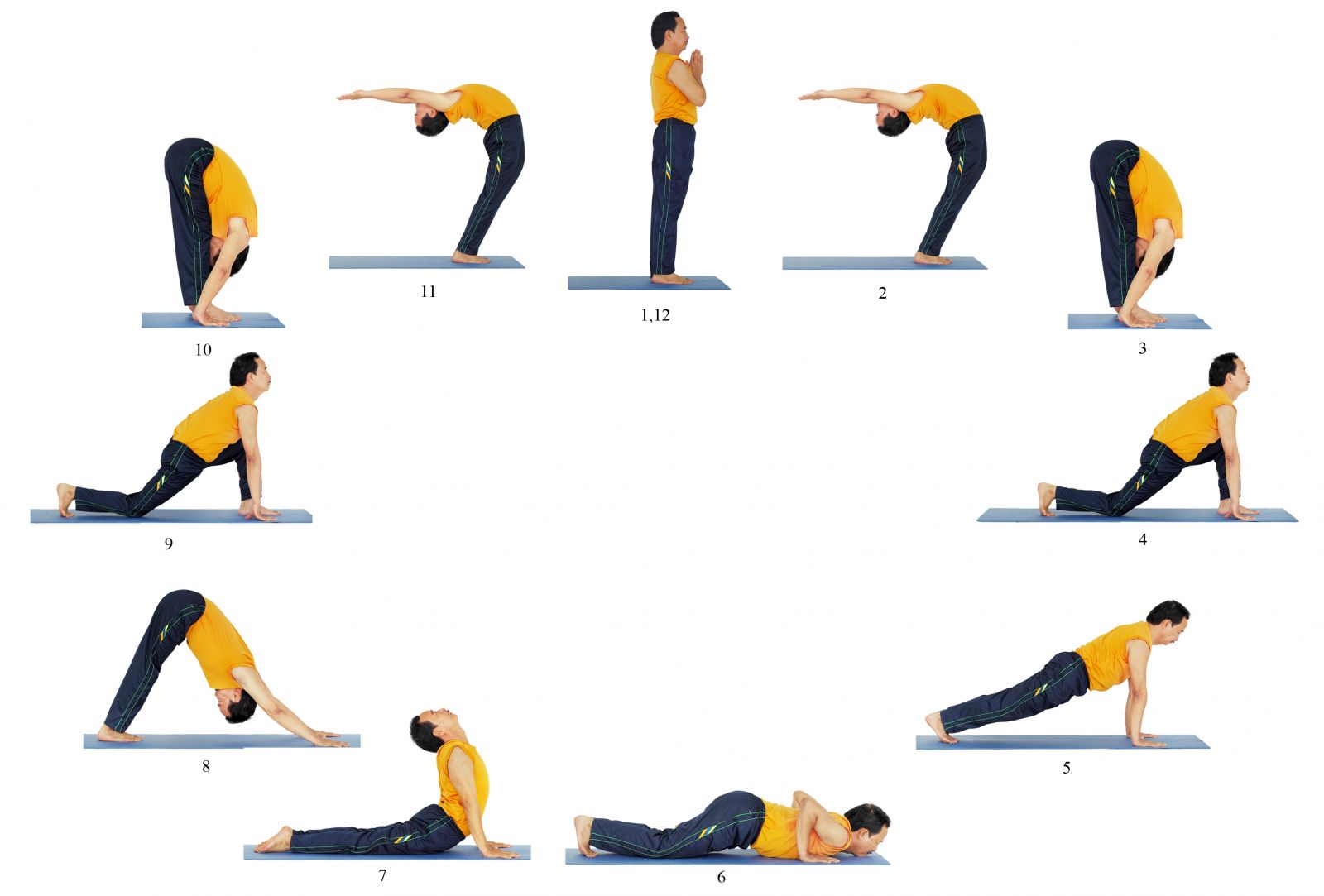 Tổng hợp các bài tập yoga tăng chiều cao cực dễ và hiệu quả – VIFA Pharmacy