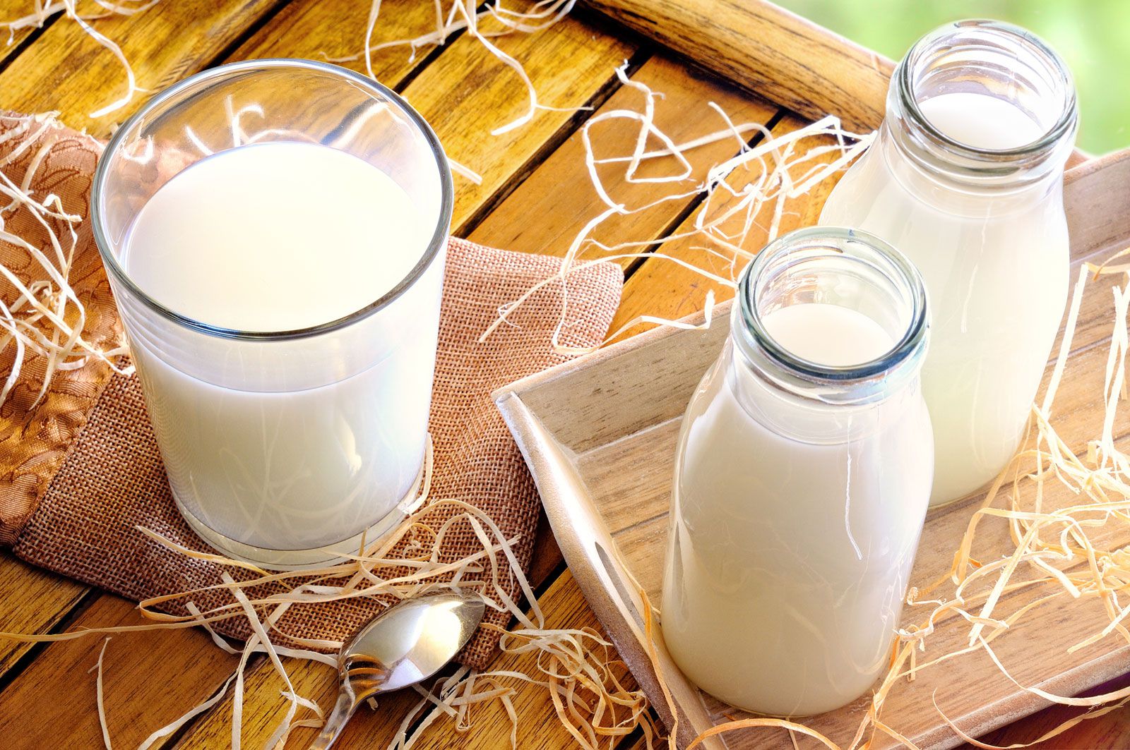 Trẻ suy dinh dưỡng nên uống sữa gì? 1