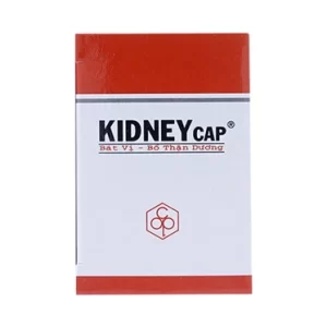 00004142 Kidneycap Vien Uong Bo Than Duong 3851 5b1e Large 69530c3021