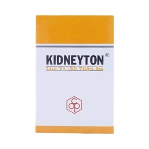 00004143 Kidneyton Vien Uong Bo Than Am 9966 5b63 Large 92e7353226