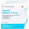 00007821 Ventolin Nebules 25ml 4138 63ab Large F6b361888f 1