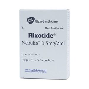 00009858 Flixotide Nebullets 05mg 5636 5c16 Large 5345c24844