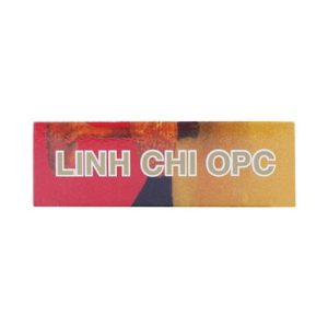 00010611 Linh Chi Dieu Hoa Huyet Ap Giam Cholesterol 6587 5b5e Large C409679348