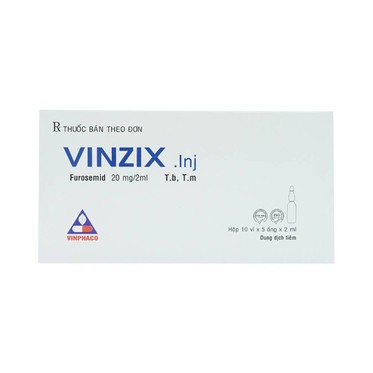 00018316 Vinzix 20mg2ml Vinphaco 10 Vi X 5 Ong Dung Dich Tiem 5661 5b90 Large 3d4f125917