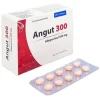 00030864 Angut 300mg Dhg 10x10 1662 62cd Large 7ac2e5b3a9 1