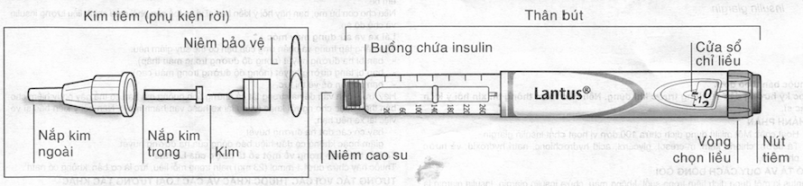 các bước kiểm tra insulin