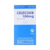 00001738 Celecoxib 100mg 9856 5b69 Large 1fa2cda59c 1