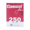 00001906 Clamoxyl 250 Mg 6291 5b69 Large 3964ae4225 1