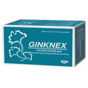 00003348 Ginknex 80mg 8538 60f0 Large D38763fcdc 1