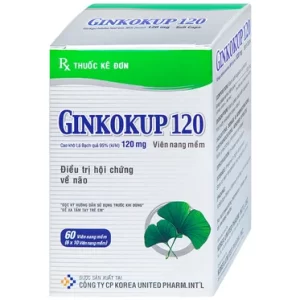 00003357 Ginkokup 120mg 8715 63db Large 33198da4af 1