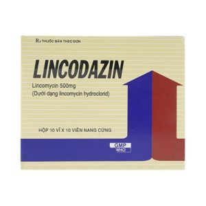 00004420 Lincodazin 500mg 3008 5bce Large 9bfc02faed