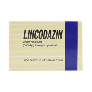 00004420 Lincodazin 500mg 6071 5bce Large D44a9ad237