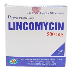 00022353 Lyncomycin 500mg Thanhhoa 20x10 4634 609d Large E087787c82 1