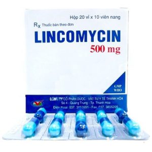 00022372 Lincomycin 500mg Thephaco 20x10 5708 60c6 Large 771e5dbfe4 1