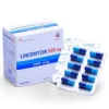 00027698 Lincomycin 500mg Domesco 20x10 5386 6099 Large Fb6cbf60c0 1