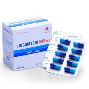 00027698 Lincomycin 500mg Domesco 20x10 5386 6099 Large Fb6cbf60c0