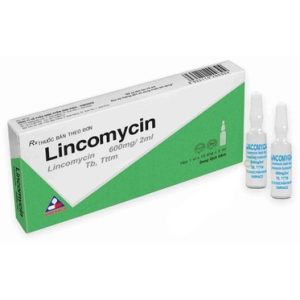 00030041 Lincomycin 600mg Vinphaco 1x10 1582 616c Large 0e3c7bcfd0 1