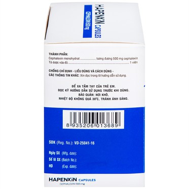 00030520 Hapenxin Capsules 500mg Dhg 10x10 Xanh Tim 1126 6425 Large 9a4440ff95