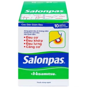 00500953 Cao Dan Salonpas Hisamitsu 10 Mieng X 24 Bao 7606 62e9 Large 33e9a9db12