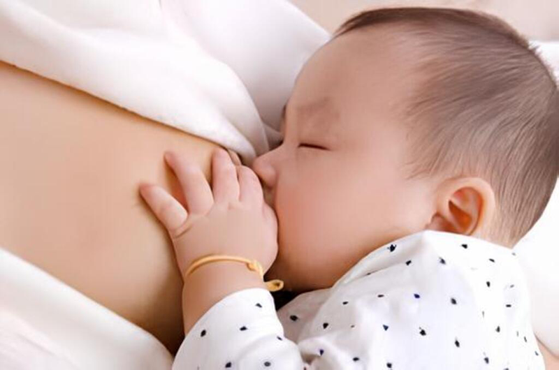 Thực hư về cây thuốc nam lợi sữa sau sinh cho mẹ: Sự thật và những điều cần biết   3